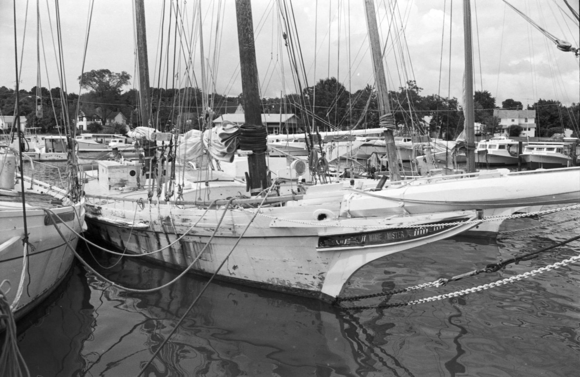 CBMM catalog image